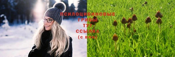 spice Абаза