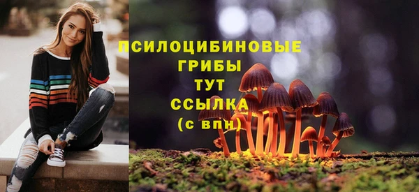 spice Абаза