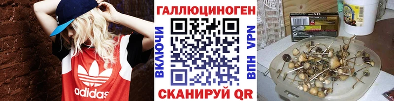 Псилоцибиновые грибы Cubensis  где продают наркотики  Липецк 